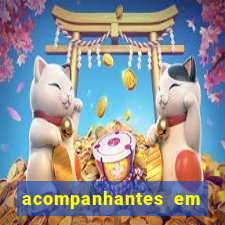 acompanhantes em nova mutum